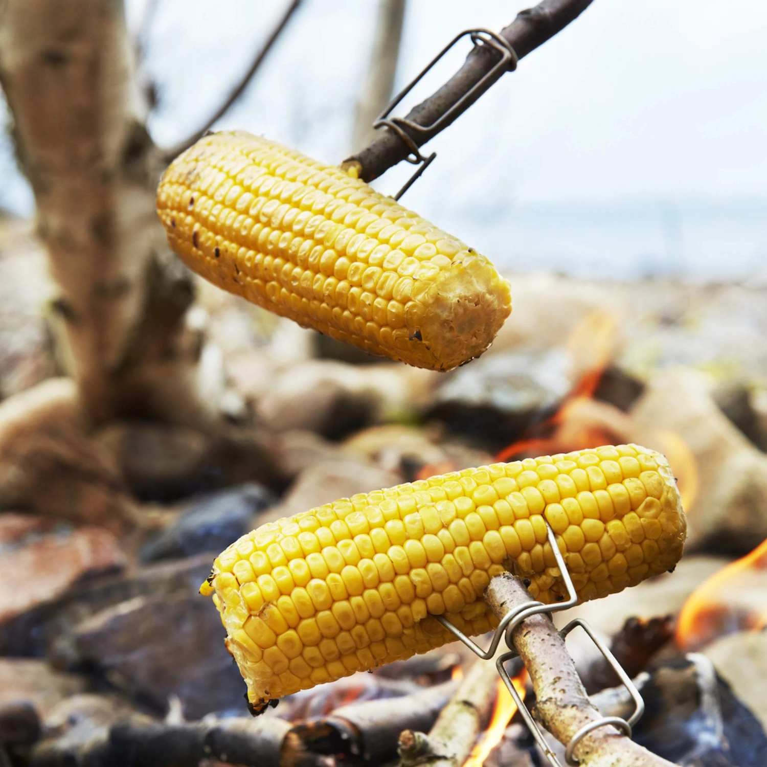 Light My Fire GRANDPA' S FIREFORK 2-PACK 5 Light My Fire GRANDPA' S FIREFORK 2-PACK – Bild 5