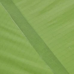 VAUDE LIZARD SEAMLESS 1-2P - Einpersonenzelt -Globetrotter Verkäufe 5637736447 af power lizard seamless 12p cress green vaude 24