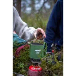Primus LITE PLUS STOVE SYSTEM FERN - Gaskocher -Globetrotter Verkäufe 5637860204 g lite plus stove system fern primus 24